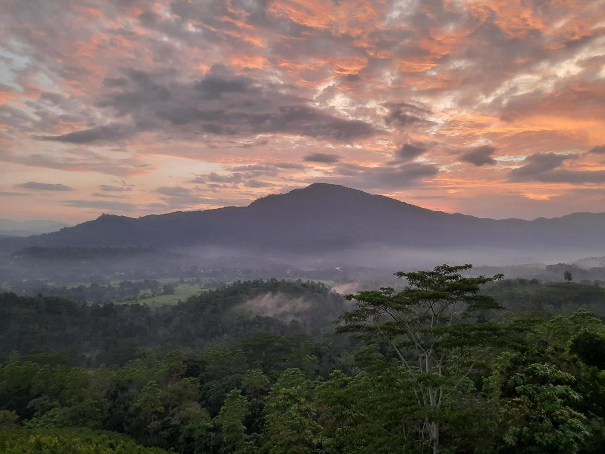 Terrace Cinnamon View Ratnapura Eksteriør billede