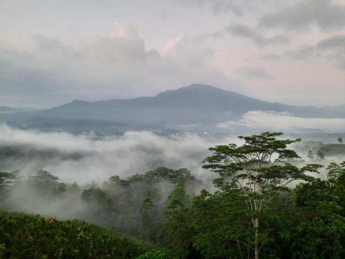 Terrace Cinnamon View Ratnapura Eksteriør billede