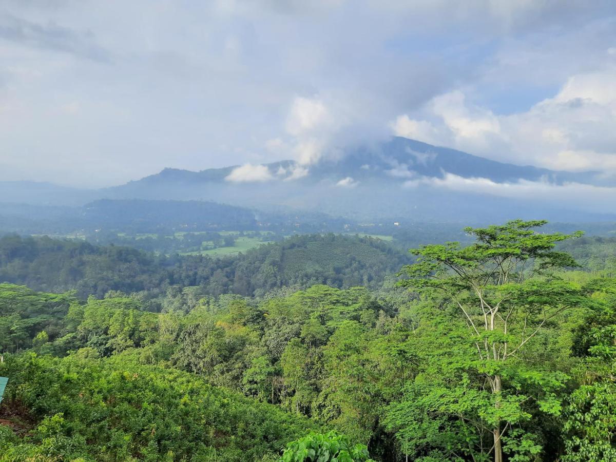 Terrace Cinnamon View Ratnapura Eksteriør billede