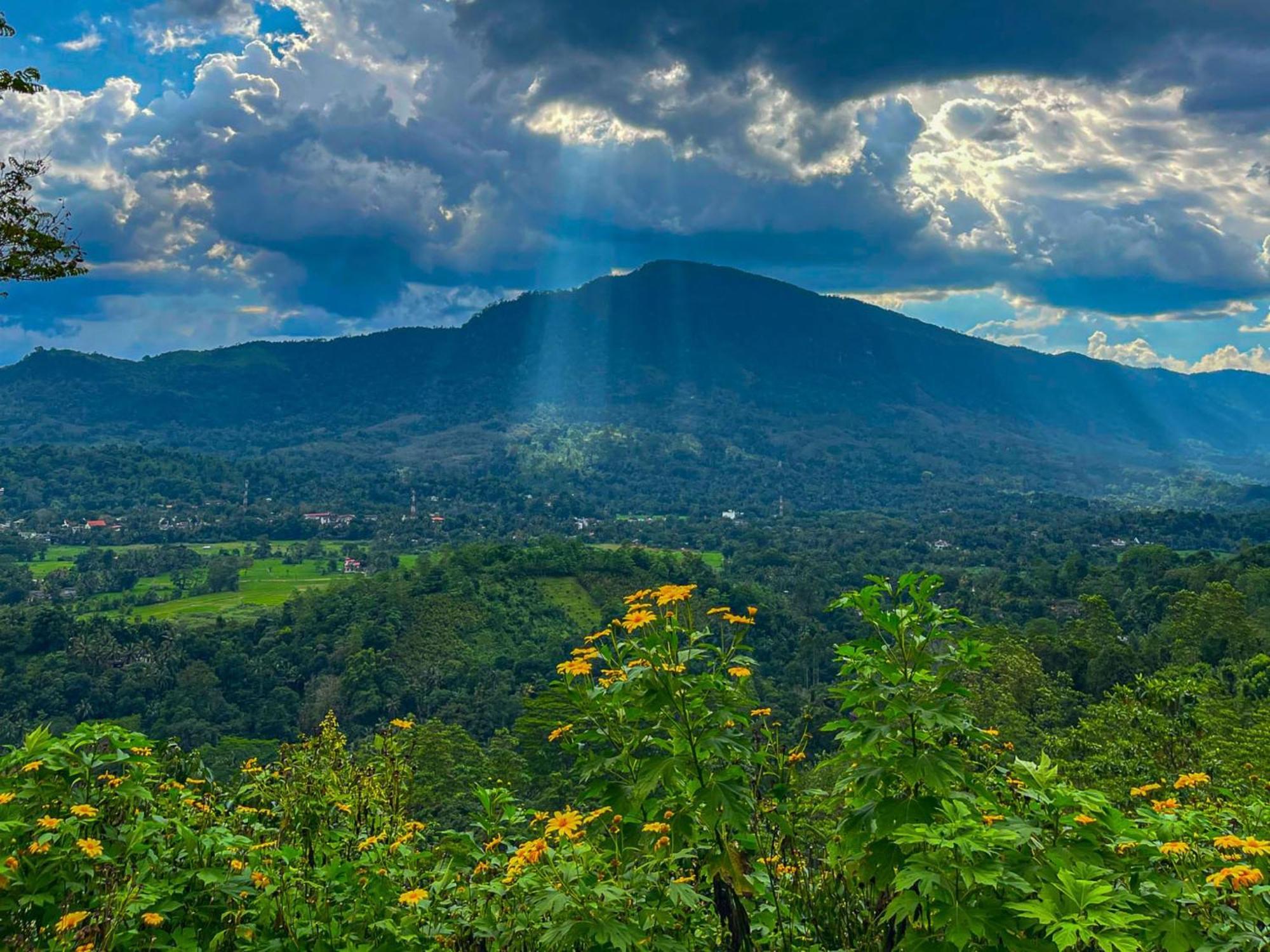 Terrace Cinnamon View Ratnapura Eksteriør billede